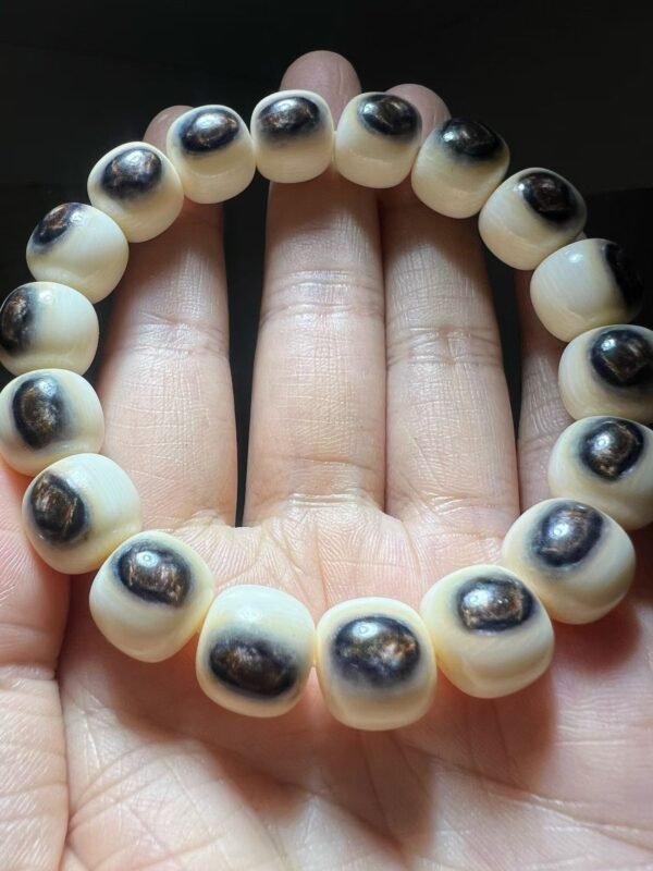 Antelope horn barrel-cut bracelet with natural dark eye-pattern inclusions on each bead, held in palm
