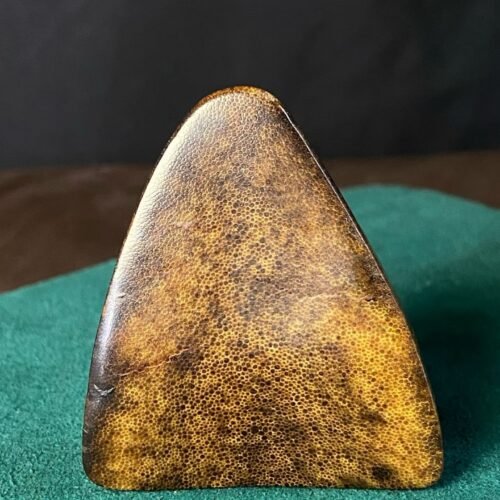 WW-QT00-001-amber-rough-honey-triangle Honey amber rough triangle block with natural outer skin, displayed on green felt