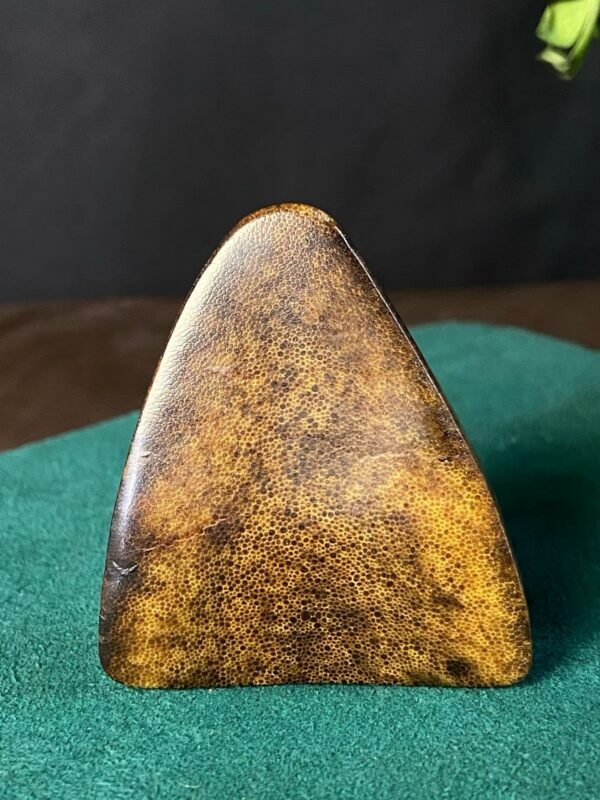 Honey amber rough triangle block with natural outer skin, displayed on green felt