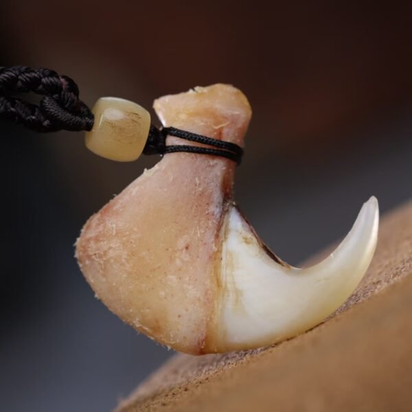 WW-QT00-002-tooth-amber-pendant Bone tooth pendant set in honey amber with hand-braided black cord, close-up macro shot